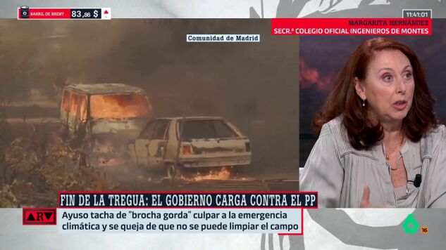 Margarita Hern&aacute;ndez (ingeniera) explica las claves de la ley de montes: "Lo que no se puede hacer es un tratamiento cu&aacute;ndo y c&oacute;mo quieras"