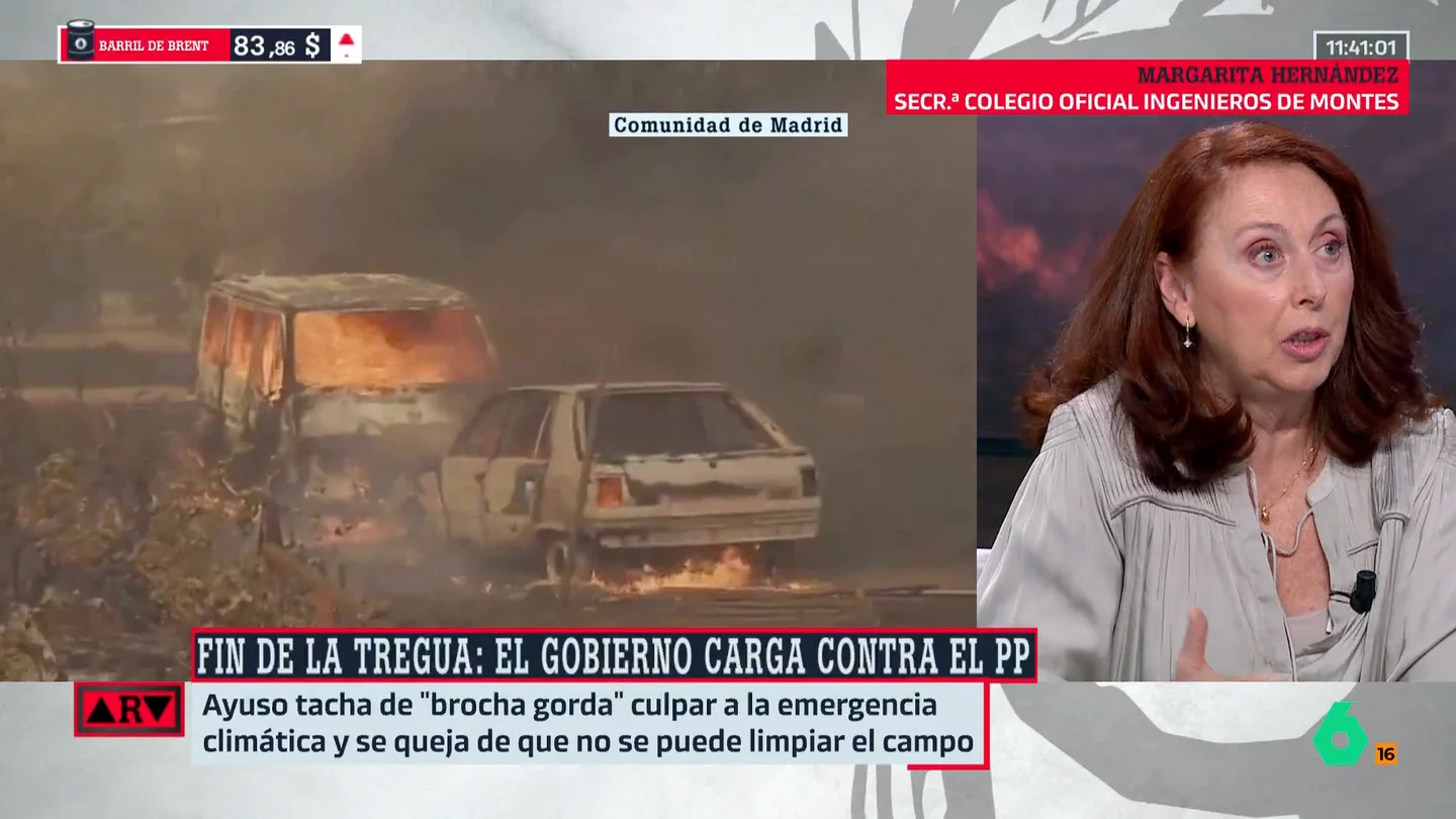 Margarita Hernández (ingeniera) explica las claves de la ley de montes: "Lo que no se puede hacer es un tratamiento cuándo y cómo quieras" Margarita Hernández (ingeniera) explica las claves de la ley de montes: "Lo que no se puede hacer es un tratamiento cuándo y cómo quieras"