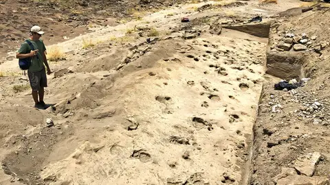 Huellas fósiles del Paranthropus boisei Huellas fósiles del Paranthropus boisei
