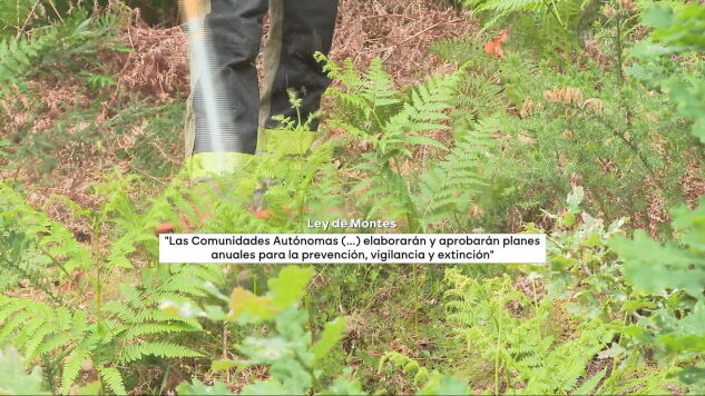 La ley de Montes exige a las comunidades aut&oacute;nomas elaborar y aprobar planes anuales para la prevenci&oacute;n, la vigilancia y la extinci&oacute;n.