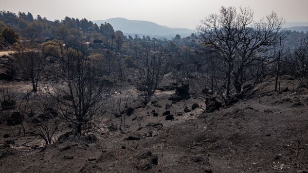 Terreno quemado por el incendio forestal entre Cebreros y El Tiemblo, en &Aacute;vila