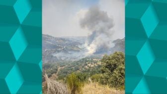 Una columna de humo provocada por el incendio en Zamora