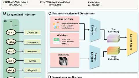 IA Oncoformer IA Oncoformer