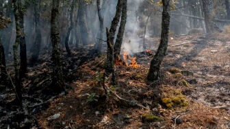 Puntos calientes tras el paso del incendio forestal, a 27 de julio de 2026, en Casillas, &Aacute;vila, Castilla y Le&oacute;n (Espa&ntilde;a)