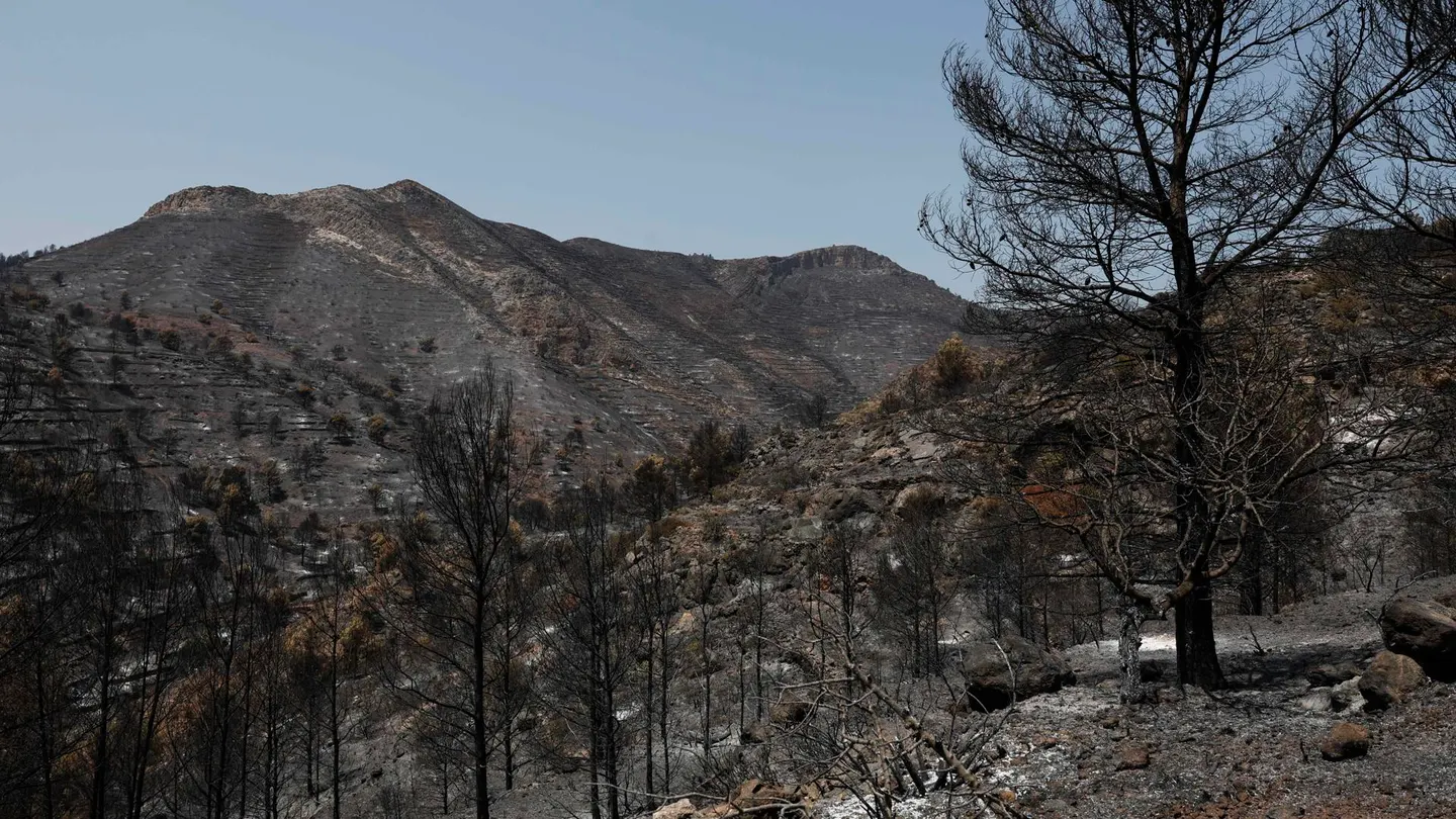 Vista general de la zona quemada en La Vall d'Uixó (Castellón) durante la quinta jornada de lucha contra el fuego. Vista general de la zona quemada en La Vall d'Uixó (Castellón) durante la quinta jornada de lucha contra el fuego.