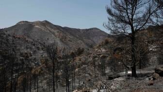  Vista general de la zona quemada en La Vall d'Uix&oacute; (Castell&oacute;n) durante la quinta jornada de lucha contra el fuego.