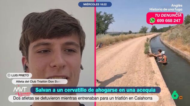 Rescate cervatillo