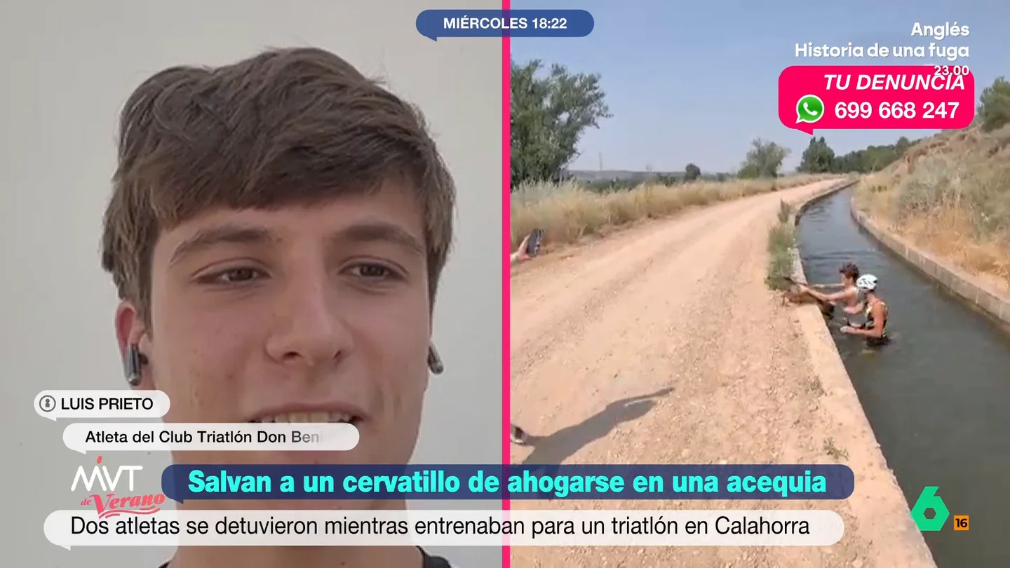 Rescate cervatillo Rescate cervatillo