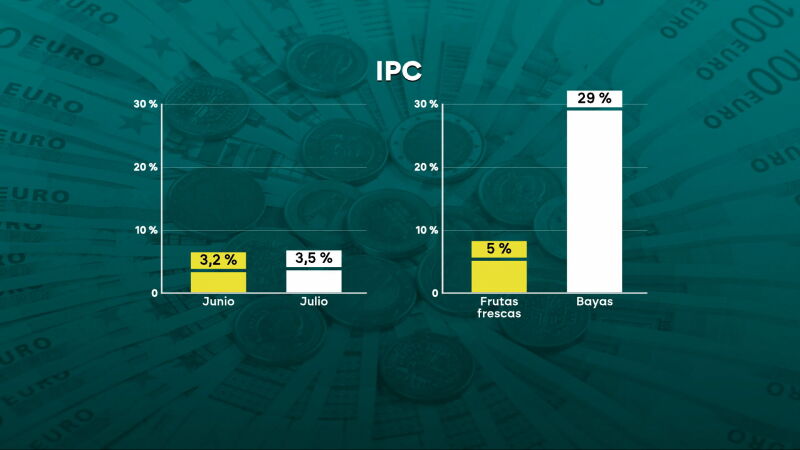 La fruta, entre los alimentos m&aacute;s caros tras la subida del IPC de julio. 