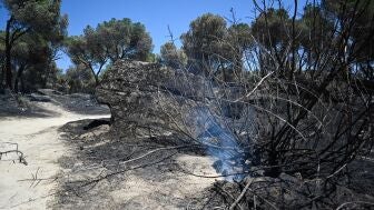 Zonas calcinadas tras el paso del incendio de la Sierra Oeste de Madrid.