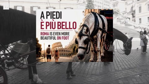 Adi&oacute;s a los 'botticelle': una ordenanza municipal pide poner fin a los paseos en caballo