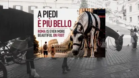 Adiós a los 'botticelle': una ordenanza municipal pide poner fin a los paseos en caballo Adiós a los 'botticelle': una ordenanza municipal pide poner fin a los paseos en caballo