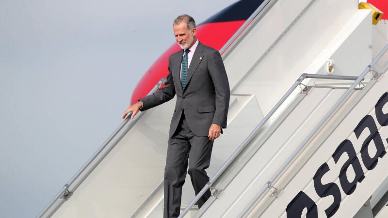 El rey de Espa&ntilde;a, Felipe VI