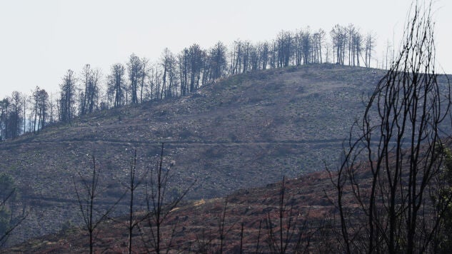 Incendio forestal de Veguellina, en el municipio de Villafranca del Bierzo (Le&oacute;n)