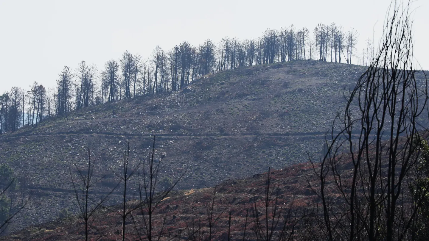 Incendio forestal de Veguellina, en el municipio de Villafranca del Bierzo (León) Incendio forestal de Veguellina, en el municipio de Villafranca del Bierzo (León)