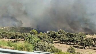 Hasta 800 desalojados de Grimaldo y Casas de Mill&aacute;n, C&aacute;ceres, por un incendio originado al salir ardiendo un cami&oacute;n.