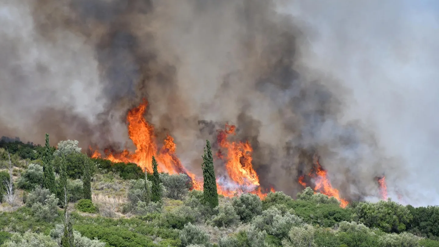 Miles de evacuados y 6.700 hectáreas por incendio que avanza hacia Atenas desde el jueves Miles de evacuados y 6.700 hectáreas por incendio que avanza hacia Atenas desde el jueves