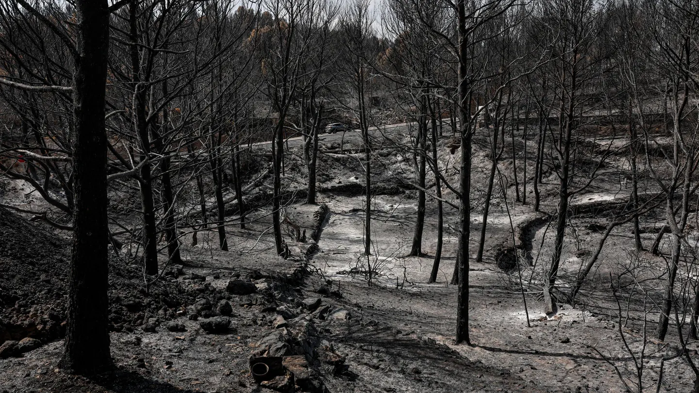 Imagen de una zona afectada por el incendio en La Vall d'Uixó Imagen de una zona afectada por el incendio en La Vall d'Uixó