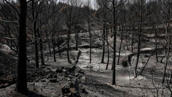 Imagen de una zona afectada por el incendio en La Vall d'Uix&oacute;