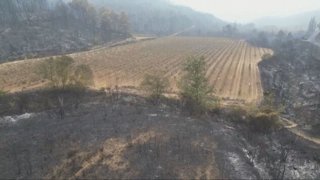Vi&ntilde;edo superviviente en medio de un incendio