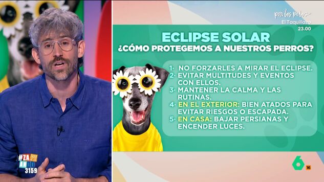 &iquest;C&oacute;mo afectar&aacute; el eclipse solar a los animales? El veterinario V&iacute;ctor Algra explica c&oacute;mo proteger a nuestras mascotas
