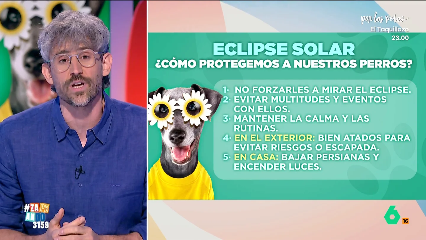 ¿Cómo afectará el eclipse solar a los animales? El veterinario Víctor Algra explica cómo proteger a nuestras mascotas ¿Cómo afectará el eclipse solar a los animales? El veterinario Víctor Algra explica cómo proteger a nuestras mascotas