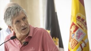 El ministro del Interior, Fernando Grande-Marlaska