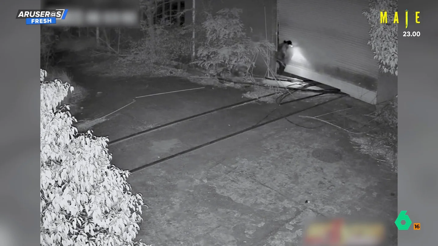 Crea una aterradora alarma para ahuyentar a los ladrones de su casa: "El ladrón se ha cagado encima" Crea una aterradora alarma para ahuyentar a los ladrones de su casa: "El ladrón se ha cagado encima"