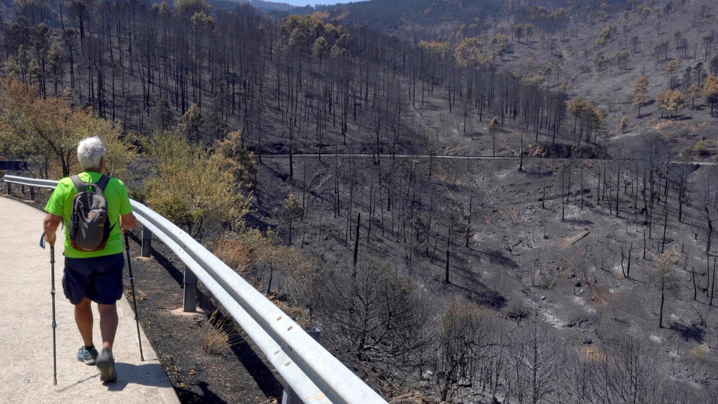 Incendio en Espa&ntilde;a