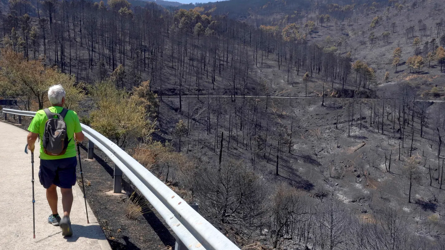 Incendio en España Incendio en España