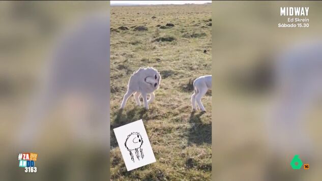La IA se utiliza en muchos &aacute;mbitos. Por ejemplo, para dar vida a dibujos. Pero, en ocasiones, el resultado puede llevarnos a cuestionar la petici&oacute;n que le hemos hecho. 