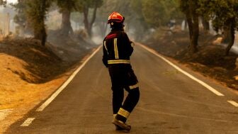 Un bombero trabaja en las labores de extinci&oacute;n de un incendio forestal.