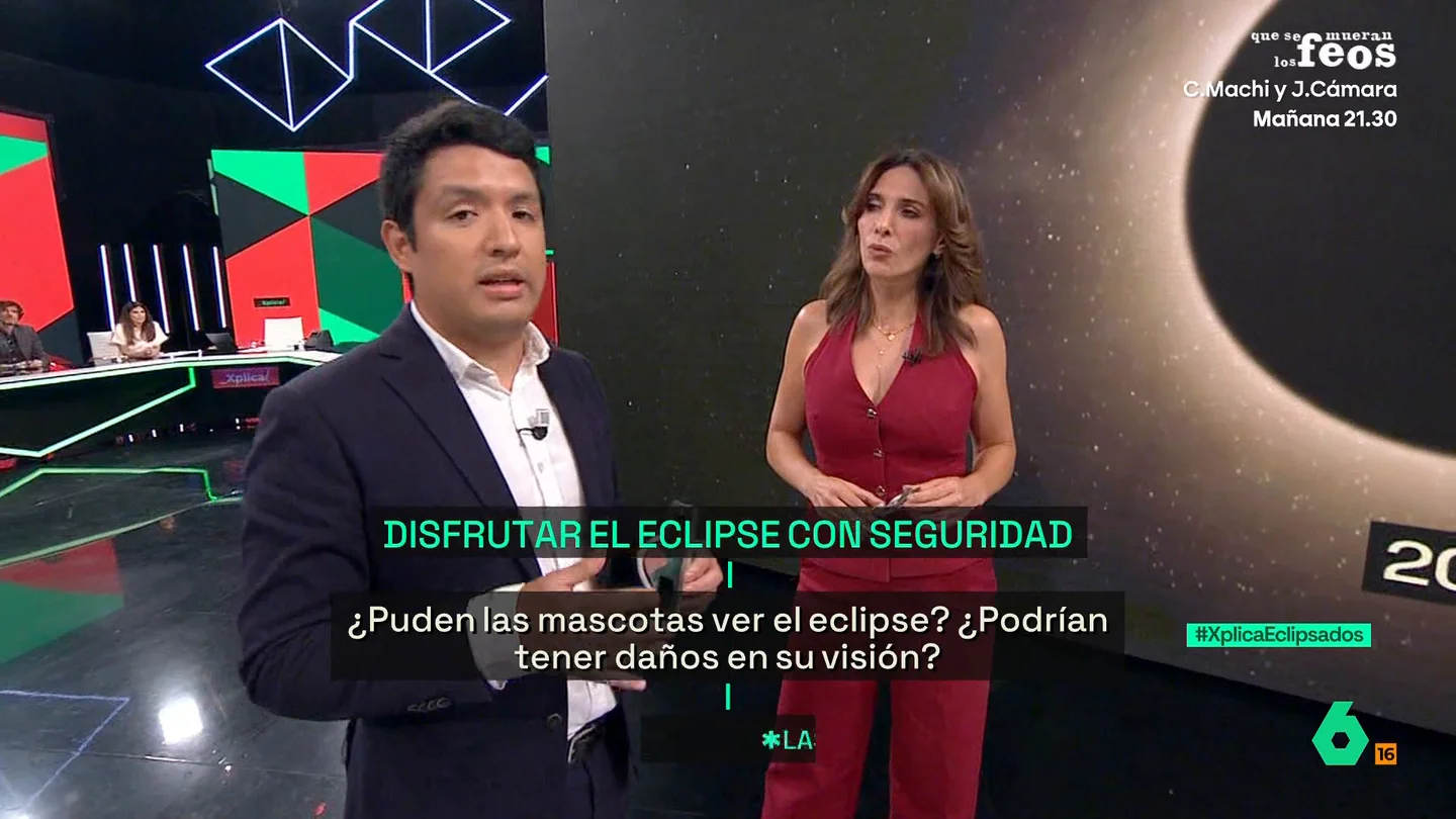 Óscar Andrée, sobre el peligro del eclipse en las mascotas: "Recomiendo que estén en casa" Óscar Andrée, sobre el peligro del eclipse en las mascotas: "Recomiendo que estén en casa"