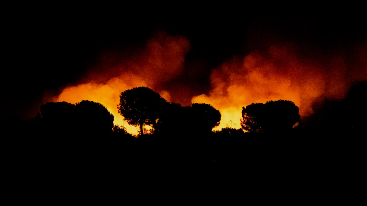 Incendio en Niebla Incendio en Niebla