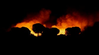 Incendio en Niebla