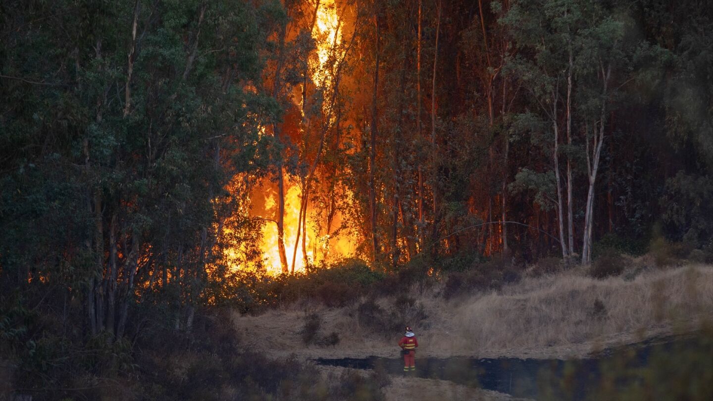 Incendio de Niebla, Huelva. 