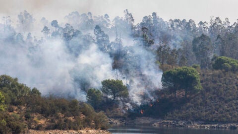 Incendio junto al embalse del Corumbel Bajo en La Palma del Condado, Huelva.