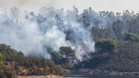 Incendio junto al embalse del Corumbel Bajo en La Palma del Condado, Huelva. Incendio junto al embalse del Corumbel Bajo en La Palma del Condado, Huelva.