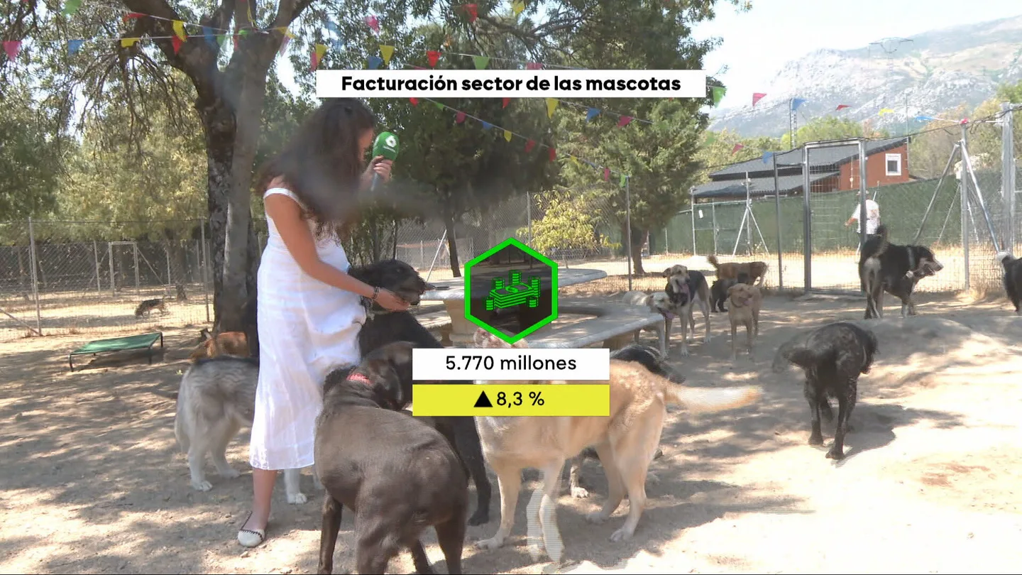 El cuidado de las mascotas ya deja en la economía española casi 6.000 millones de euros El cuidado de las mascotas ya deja en la economía española casi 6.000 millones de euros