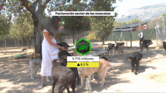 El cuidado de las mascotas ya deja en la econom&iacute;a espa&ntilde;ola casi 6.000 millones de euros