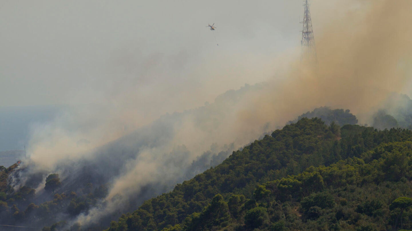 Un incendio quema el parque natural de Collserola.
