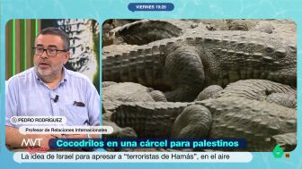 El gobierno israel&iacute; ha tomado ejemplo de un centro de detenci&oacute;n de EEUU situado en el sur de Florida, en una reserva natural en la que hay alig&aacute;tores. 