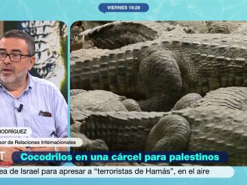 Pedro Rodr&iacute;guez sentencia el proyecto de crear un foso con cocodrilos en una c&aacute;rcel de Israel: "La crueldad est&aacute; de moda"