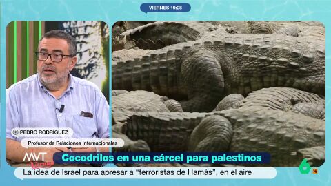 El gobierno israel&iacute; ha tomado ejemplo de un centro de detenci&oacute;n de EEUU situado en el sur de Florida, en una reserva natural en la que hay alig&aacute;tores. 