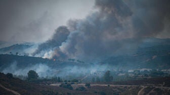 Incendio en Niebla