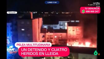 Los Mossos d'Esquadra y la Polic&iacute;a Local de Lleida han detenido a cinco personas, cuatro de ellas menores, a causa de la reyerta multitudinaria que enfrent&oacute; a comerciantes y presuntos autores de robos. Algunos de ellos portaban armas blancas.