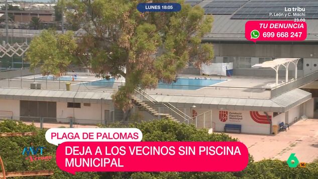 La asociaci&oacute;n de vecinos de Natzaret denuncia las condiciones de insalubridad de la piscina municipal, que este a&ntilde;o ha cerrado por una plaga de palomas, pero que, seg&uacute;n ellos, lleva a&ntilde;os abandonada por el Ayuntamiento.