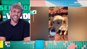 Con el aumento de las temperaturas un buen recurso es disfrutar de un helado. Pero &iquest;nuestras mascotas tambi&eacute;n pueden disfrutar de este delicioso alimento? Descubre la opini&oacute;n del veterinario en el v&iacute;deo principal. 
