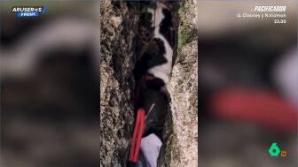 El angustioso rescate de una perra atrapada entre rocas durante tres d&iacute;as: logran salvarla tras horas perforando la piedra