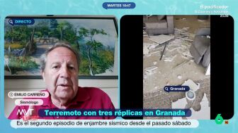 El sism&oacute;logo Emilio Carre&ntilde;o explica en M&aacute;s Vale Tarde que "por la historia s&iacute;smica de Andaluc&iacute;a, no tenemos terremotos tan grandes como los que podemos ver en los medios de comunicaci&oacute;n de otros pa&iacute;ses".